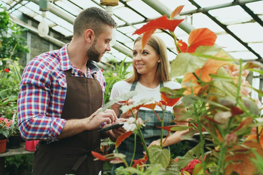 Two colleagues planning a project together, one holding a tablet, among plants